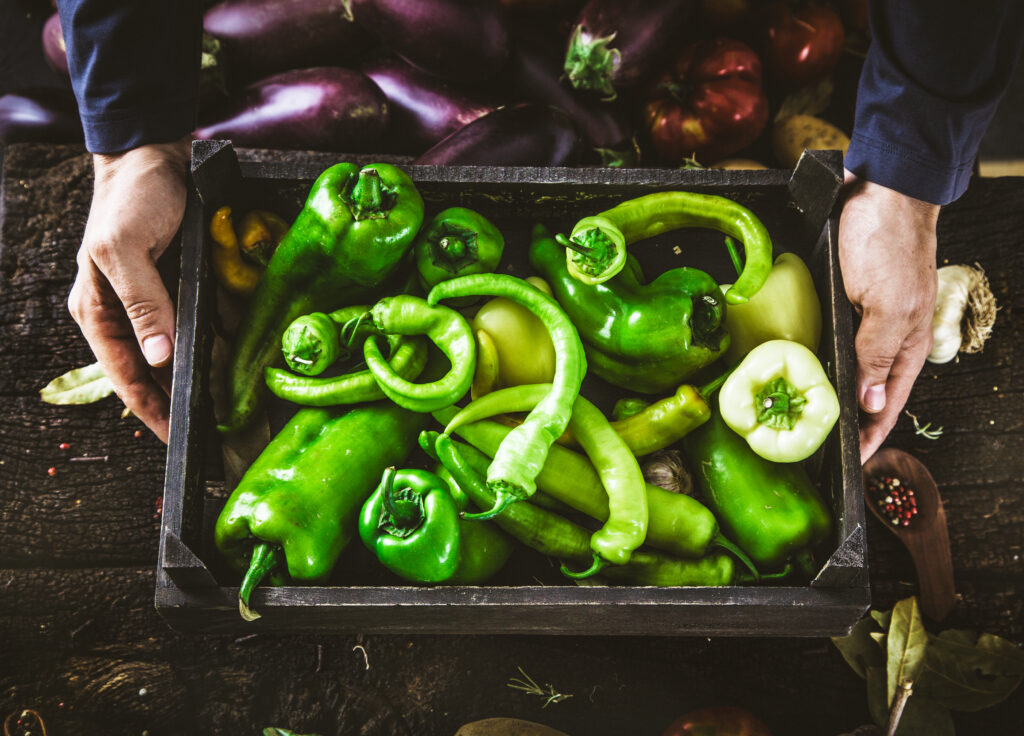 farmer with green peppers farmer with green peppers