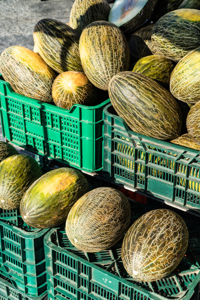 fresh melon on crates at farmers market